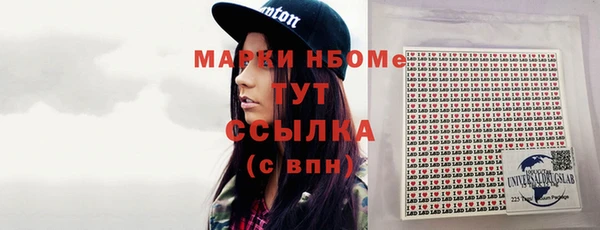 прущие грибы Балабаново
