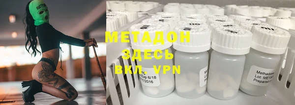 прущие грибы Балабаново