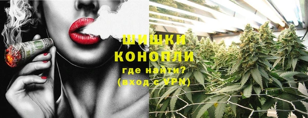 прущие грибы Балабаново