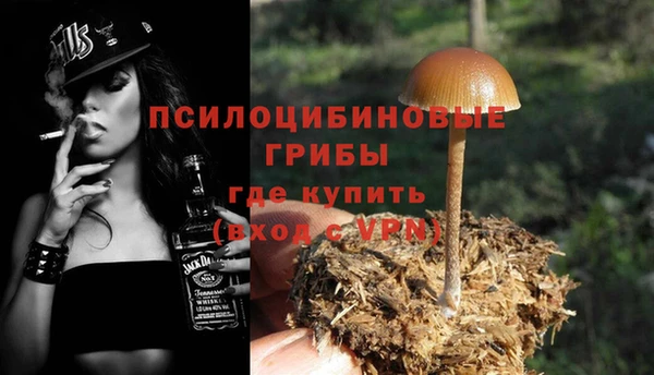 прущие грибы Балабаново