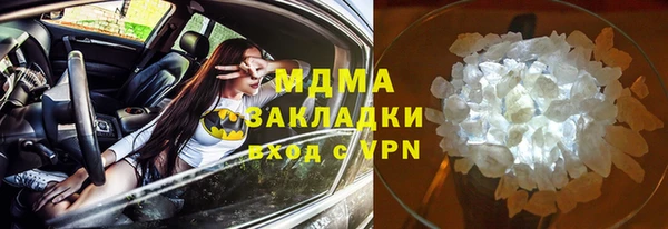 прущие грибы Балабаново