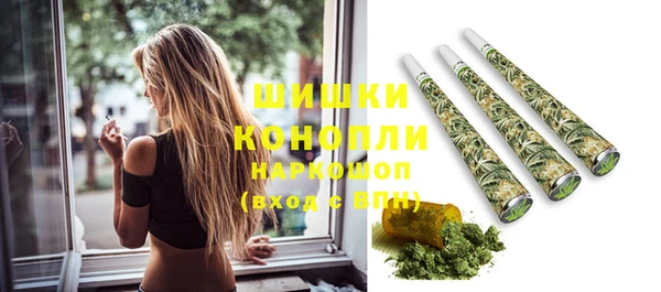 прущие грибы Балабаново