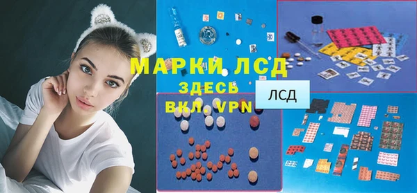 прущие грибы Балабаново