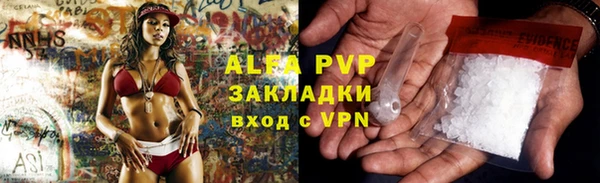 прущие грибы Балабаново